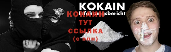 МДПВ Богородицк