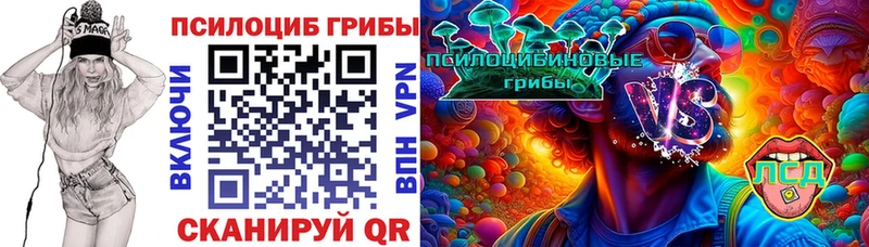дарнет шоп  Козьмодемьянск  Галлюциногенные грибы мицелий 